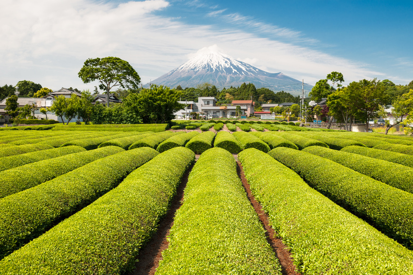 解雇しやすい特区と日本企業の強みについて | ASREAD